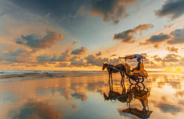 ️Pantai parangtritis